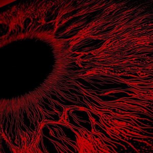 高请无码一区AAA片毛片
