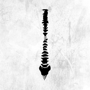 高请无码一区AAA片毛片
