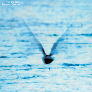 高请无码一区AAA片毛片
