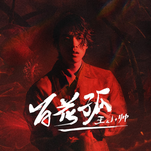 高请无码一区AAA片毛片
