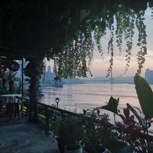 高请无码一区AAA片毛片
