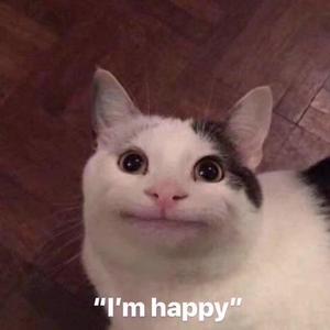 高请无码一区AAA片毛片
