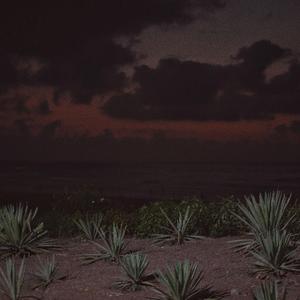 高请无码一区AAA片毛片
